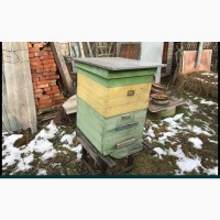 Продам вулики бджоли