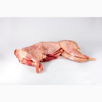 Продам м#039;ясо кролика. Свіже м#039;ясо кроля