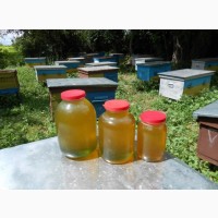 Продам липовий мед 100% натуральний, з власної пасіки, липа, мед 2020р