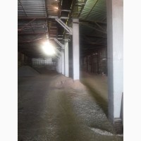 Здам складські приміщення для зберігання зерна, Дніпропетровська область