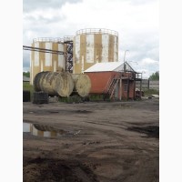 Здам складські приміщення для зберігання зерна, Дніпропетровська область
