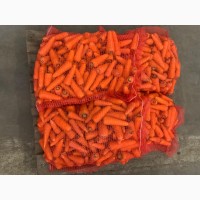 Продам моркву миту 1 сорт