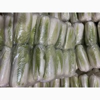 Продам пекінську капусту оптом від 20 тонн