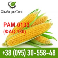 Насіння гібриду кукурудзи PAM 0133 (ФАО 180)