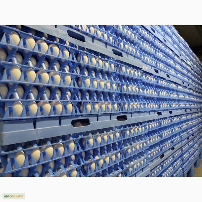 Фото 4. Пластиковая упаковка для яиц. Системы паллетирования
