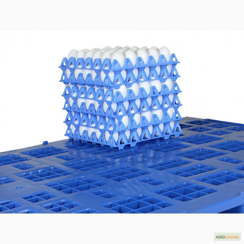 Фото 6. Пластиковая упаковка для яиц. Системы паллетирования