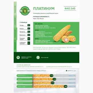 Семена кукурузы Платинум (ФАО 340), 2018 г.у