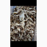 Продам білі сухі гриби