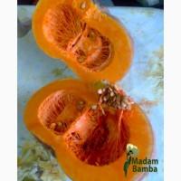 Гарбуз Мускат де Прованс насіння - мускатний сорт великоплідний лежкий - 15шт