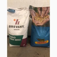 Продам насіння кукурудзи