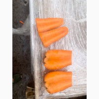 Продам моркву миту