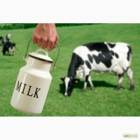 Экологически чистое, цельное коровье молоко