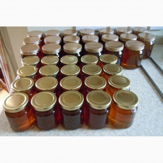 Продам мёд из собственной пасеки (урожай 2017)