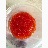 Красная икра горбуши оптом от 1 килограмма