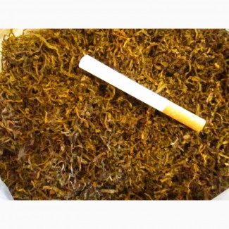 Табак Вирджиния Голд нарезан лапша 1-2мм ферментированный.30 СОРТОВ