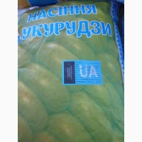 Семена кукурузы Оржица 237 МВ (ФАО - 240) (ФГ Изовита)