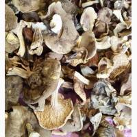 Сушеные грибы отличного качества для ресторанов и оптовиков