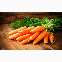 Организация купит морковь (Отсрочка 4 дня)