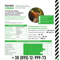 Французский гибрид кукурузы Плевен / Pleven Фао 270, (Maisadour)