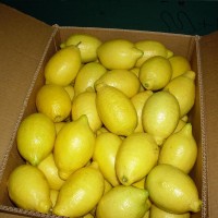 Продам лимоны свежие Турция