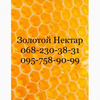 Закупка меда по Днепропетровской и Херсонской обл