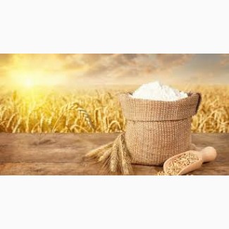 Продам борошно пшеничне, житнє вищого і першого гатунку