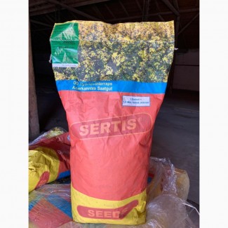 Продам сертифіковане насіння озимого ріпака (Дженіксон)