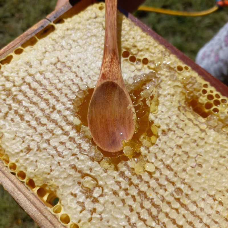 Сотовый мёд 1 кг