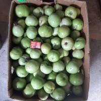 Продам зелені томати (не підмерзлі)