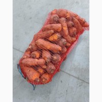 Продам морковь на переработку морковчу