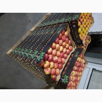Продам яблука, Херсонська область