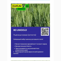 Насіння пшениці від виробника- БГ Уніголд / BG Unigold (пшениця м#039;яка озима)