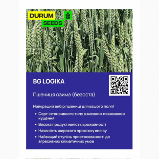 БГ Логіка / BG Logika пшениця м#039;яка озима. Насіння пшениці Durum Seeds