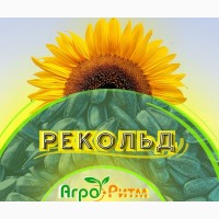 Насіння соняшника Рекольд, під Гранстар, Преміум, врожай - 2023