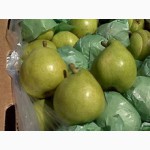 Предлагаю прямые поставки груши, яблоки из Аргентины, Чили
