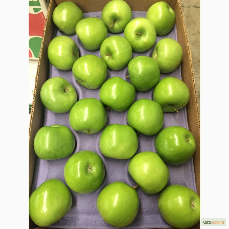 Фото 2. Предлагаю прямые поставки груши, яблоки из Аргентины, Чили
