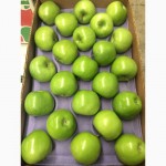 Предлагаю прямые поставки груши, яблоки из Аргентины, Чили