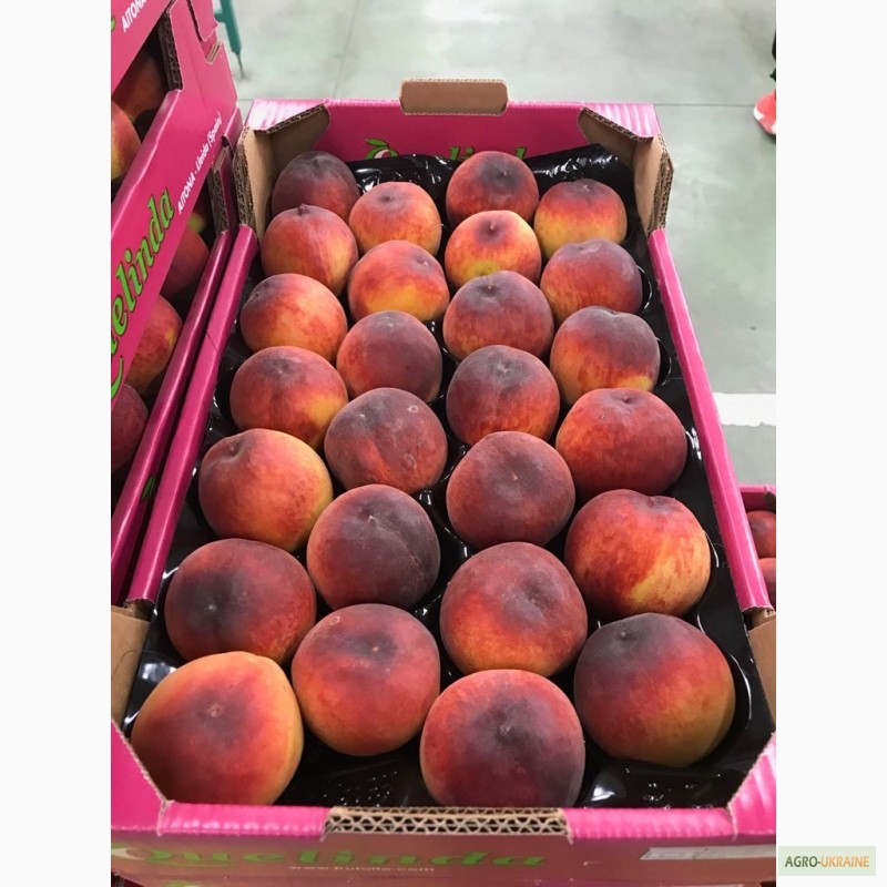 Фото 3. Продаем персики из Испании