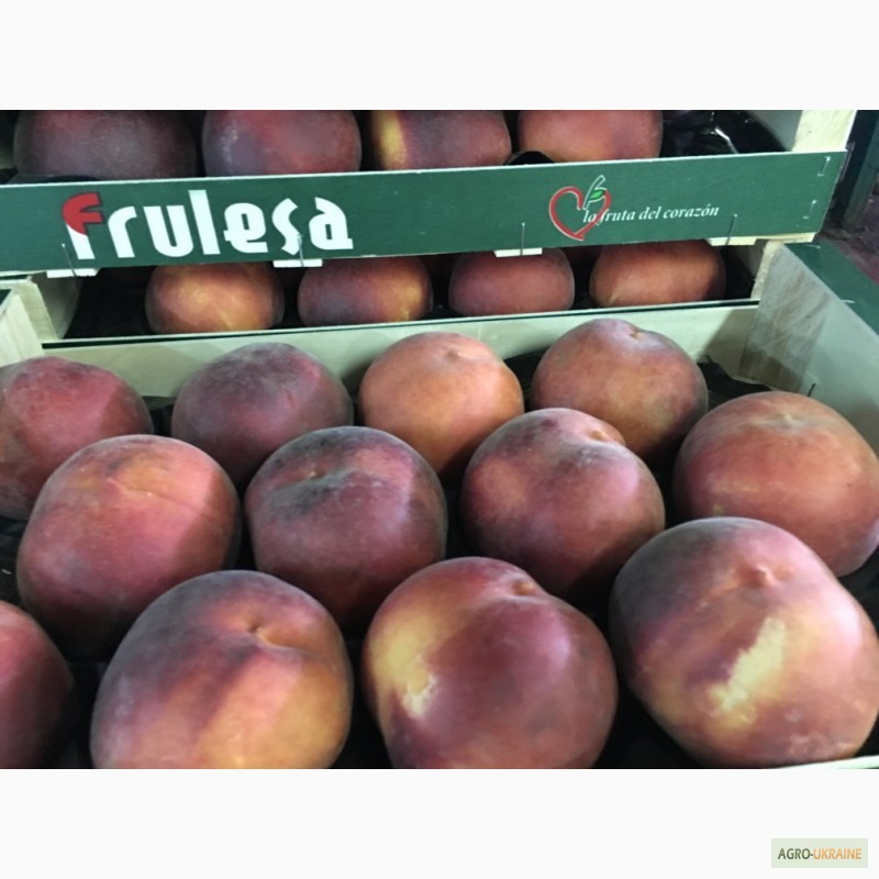 Фото 5. Продаем персики из Испании