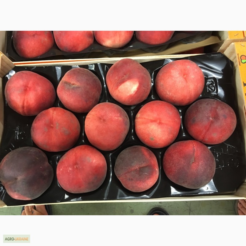 Фото 6. Продаем персики из Испании