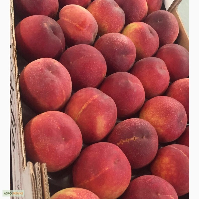 Фото 10. Продаем персики из Испании