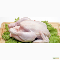 Оптовая поставка замороженного мяса птицы со склада в Ростове-на-Дону