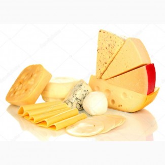 СРОЧНО продам на экспорт сыр твердый от производителя с 20 тонн