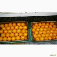 Апельсины из Кипра