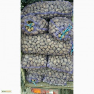 Продам картошку оптом разных сортов хорошего качества