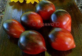 Фото 9. Продам семена коллекционных томатов, личная коллекция, сезон 2021-2022