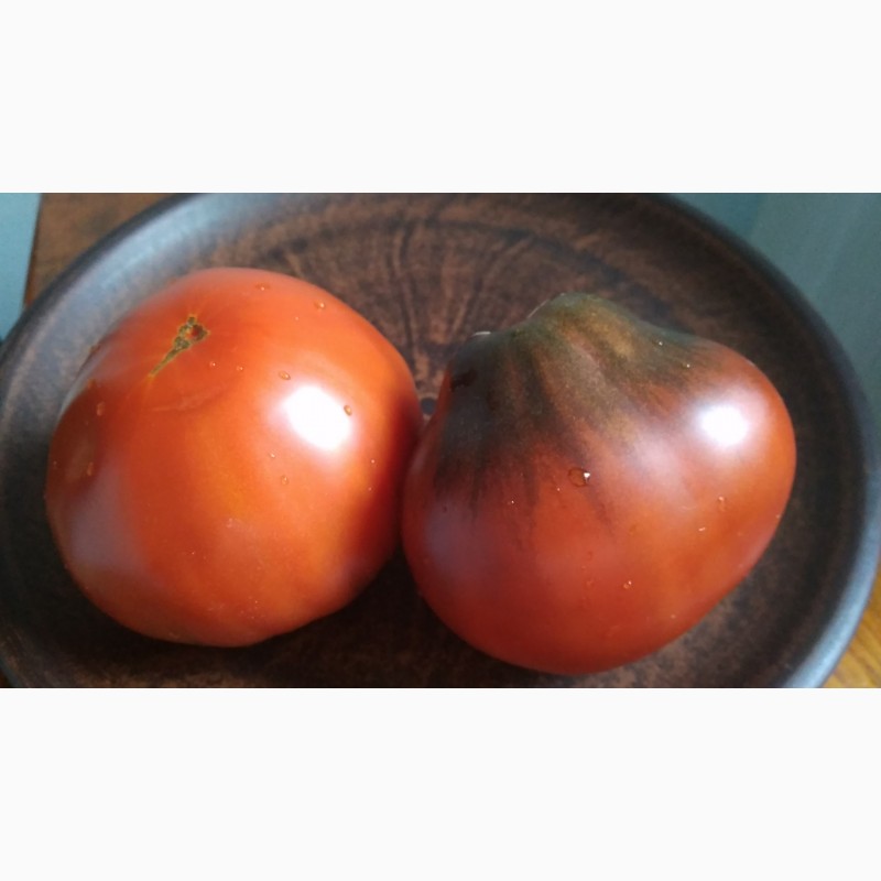 Фото 3. Продам семена коллекционных томатов, личная коллекция, сезон 2021-2022