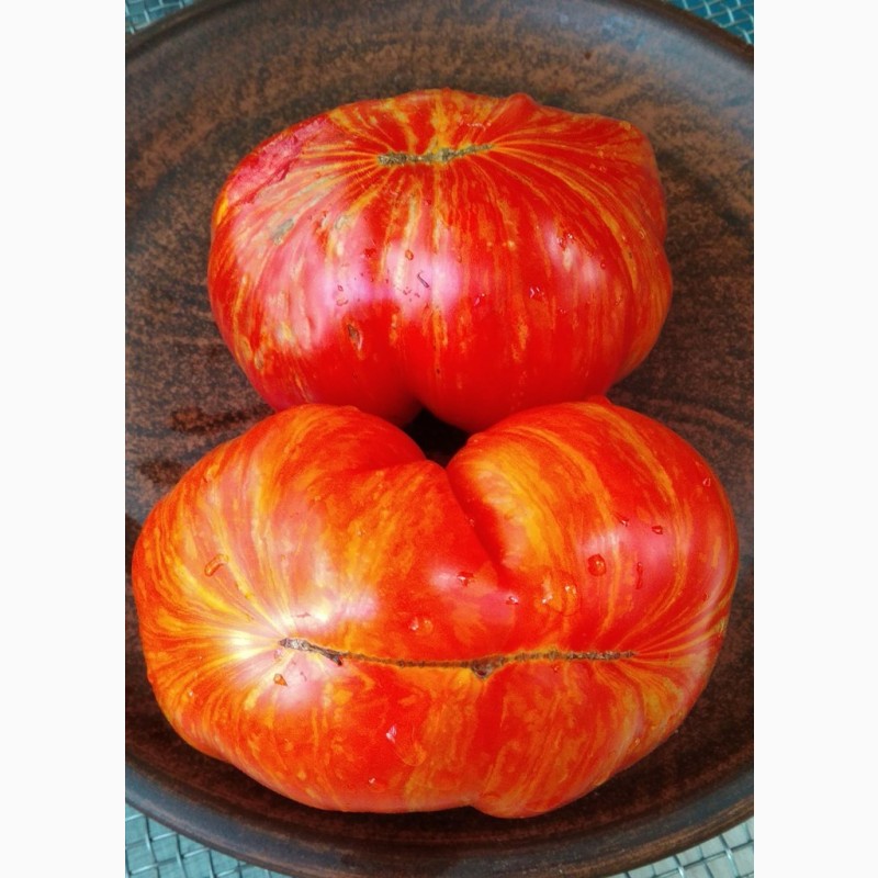 Фото 4. Продам семена коллекционных томатов, личная коллекция, сезон 2021-2022