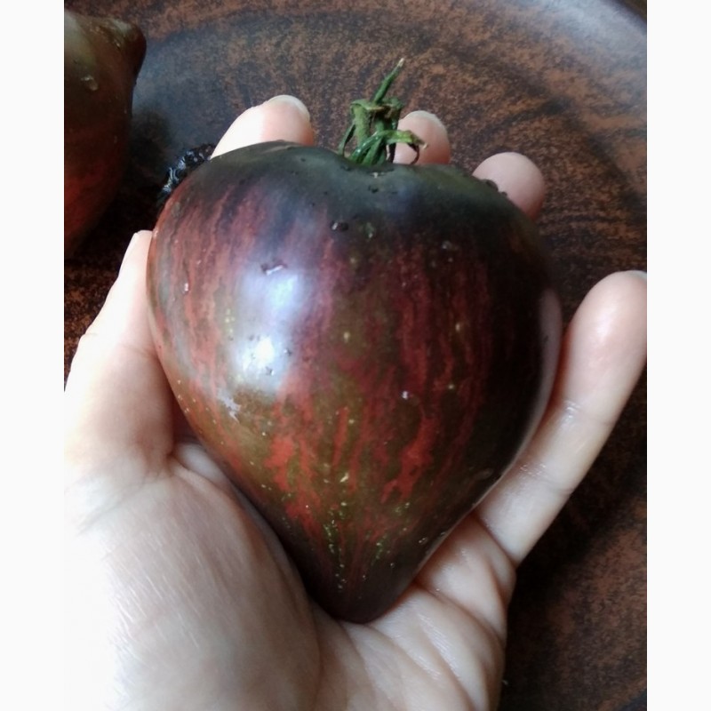 Фото 5. Продам семена коллекционных томатов, личная коллекция, сезон 2021-2022