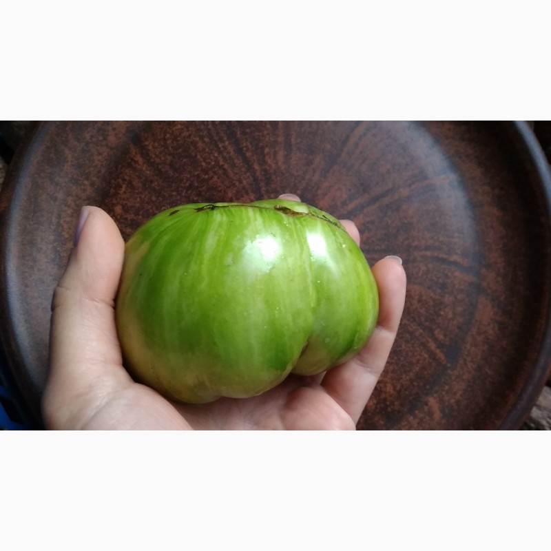 Фото 14. Продам семена коллекционных томатов, личная коллекция, сезон 2021-2022
